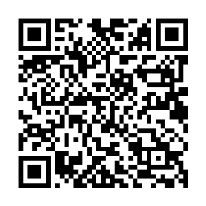 庞大的天地灵气和精纯无比的生命力同时冲进了雷天的身体之中二维码生成