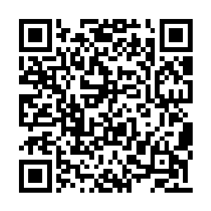 廖辽也几乎是定好了的工作室的第一位签约艺人二维码生成