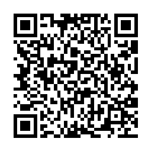 廖辽却从来都没有主动向公司透露过李谦的联系方式二维码生成