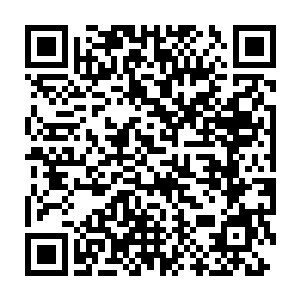 开垦东荒来获得力量以完成青制战略上避免了和东面各州直接冲突二维码生成