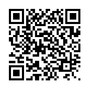 开始寻找相似度最高者进行对比……二维码生成