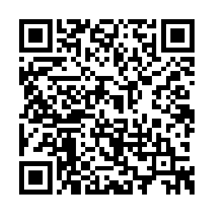 开始将近百万平方公里区域内的苏联人统一筛查二维码生成