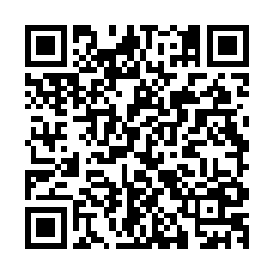 开始的第一道结界基本上没有话费一点的时间就被彻底的攻破二维码生成