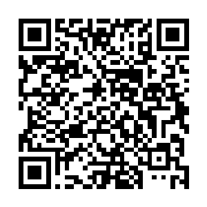 张东城带领着剧组的成员举办了一场声势浩大的开机仪式二维码生成