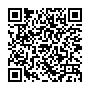 张师兄近乎咆哮般的声音在这座空荡荡的大殿内回响着二维码生成