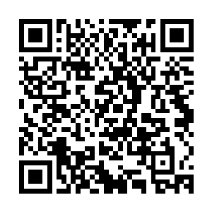 张承旭和张承泽两兄弟完全是刘星他们用树枝做的担架抬回来的二维码生成
