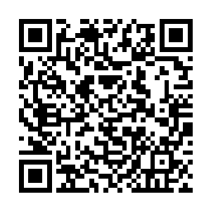 张校长看着苗小苗轻轻搁在办公桌上的十万块钱现金二维码生成