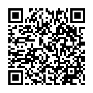 张潇晗从来没有看到过峒箫如此神色张煌的时候二维码生成