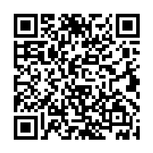 张潇晗好像没有看过木槿正正常常坐在椅子上的时候二维码生成