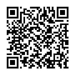 张潇晗已经将册子上的东西完整地给姊旖看过了二维码生成