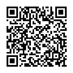 张潇晗沿着有可能出现传送阵的位置寻找了一会二维码生成