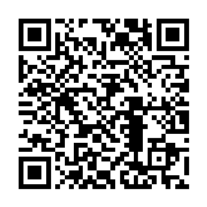 张潇晗清冷冷的声音和巨龙霸道的声音形成强烈对比二维码生成