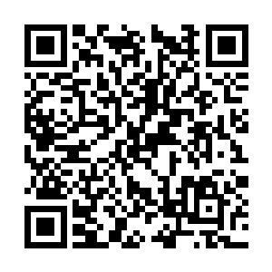 张潇晗知道她的做法在某些方面违背了木槿的意愿二维码生成