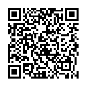 张牙舞爪地表现着他们此时理智已经无法束缚的情感决堤二维码生成