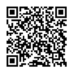 张生对农妇说了一嘴就来看三轮车上病人的情况二维码生成