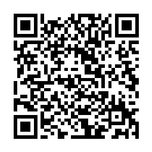 张生母子所在的区域按照总统套布局来说是会客厅二维码生成