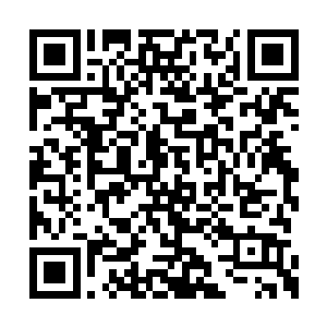 张蕊倒是出人意料的一来就站到了丁长生的一边二维码生成