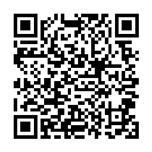 张铁用了十多分钟的时间仔仔细细的把那篇文章看了三遍二维码生成
