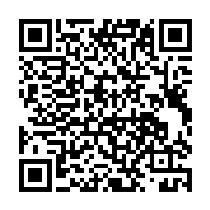 张铁用精神力在检索框中输入了四个字――追魂灵蝶二维码生成