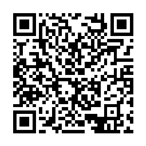 张铁自恋的在镜子前转来转去的照了起码有两分钟二维码生成