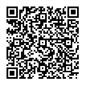 张韩飞也在这一刻來到虚空 颤声道 他脸色煞白 似乎在之前的威压中受了不小的惊吓二维码生成