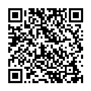 强大的次声波从这头生物的眼睛之后的部位散出来二维码生成