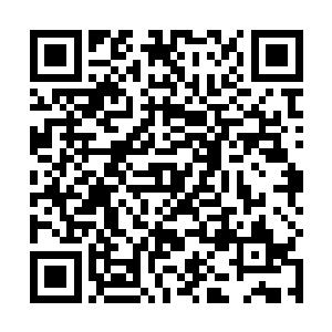 强大的水压和漆黑的海底根本没有给他带来丝毫的影响二维码生成