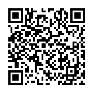 强的……而且……跟他们战斗……感觉好丢脸……二维码生成
