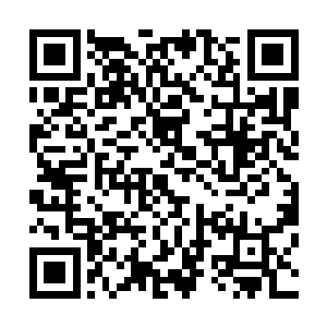 当一只巨大的金色手掌出现在病态老者和南宫成的头顶上时二维码生成