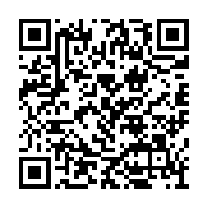 当乔治集团的员工检查完产品的质量和化验单后二维码生成