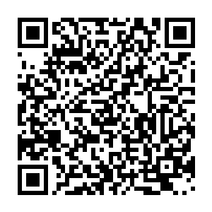 当了一次狐假虎威旗帜――暗帝又怎么会知道青脉在本域的尴尬局面二维码生成
