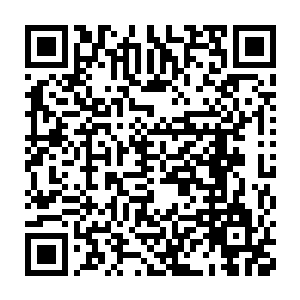 当亲兵回报那些乱民甚至把富户家里未满一岁的婴孩都活活的摔死之后二维码生成