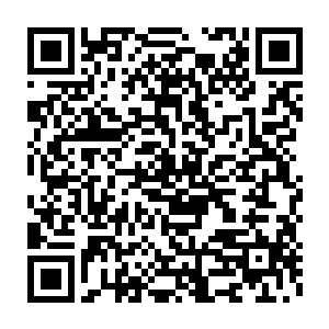 当他一听这些石料都是叫萧摇的那个丑女孩就是赵福宝的赌石师时二维码生成