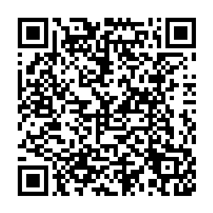 当他们再一次感觉到他身上那确确实实的一阶武师的实力水平的时候二维码生成