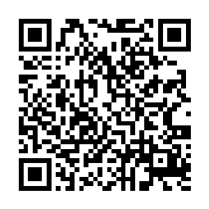 当他们看到大王乌贼还在往外冒着墨绿色液体的触角根部二维码生成