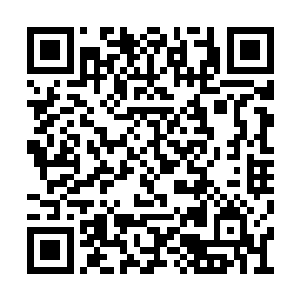 当他们简单的农耕养殖被现代社会经济击溃以后二维码生成
