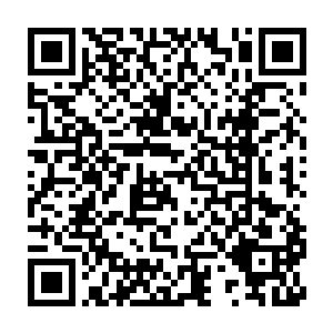 当他好不容易从自己的院子里爬出来以为自己可能会得自闭症的时候二维码生成