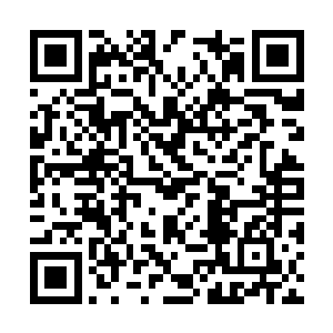 当他看到雷天的拳头在自己的眼前越来越大的时候二维码生成