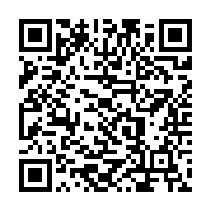 当他看见李涛扛起单兵式导弹发射器的时候眼睛一亮二维码生成