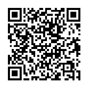 当侯卫东黝黑的脸孔出现了陈庆蓉和张远征的面前之时二维码生成