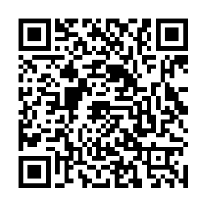 当修士们发现这玩意体内存着如此大量的天地道法精髓二维码生成