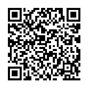 当凌予带着靳如歌刚从外面吃完晚餐回来的时候二维码生成