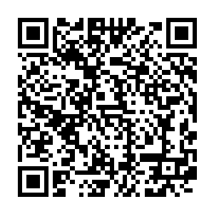 当刘伟在常委会上抛出提名沈飞担任开发区管委会主任的议题之后二维码生成