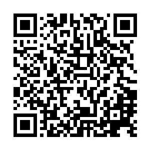 当初严默还奇怪过为什么胡莲没有把阿拉伯数字教给炼骨族二维码生成