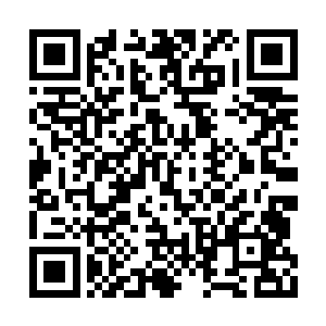 当初凤家是怎么用八抬大轿把我娘亲抬进府门的二维码生成