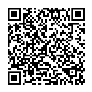 当初在呜格兰邀请巴克参与那个伊拉克库尔德人行动的是他们自己人二维码生成