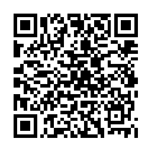 当初天魔之主可没有弄什么赐予他人力量的手段二维码生成