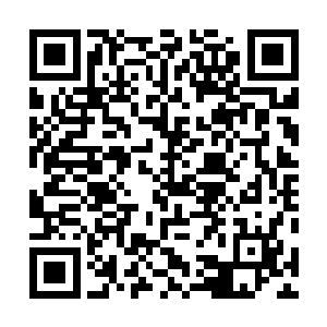 当初守候在罗比尼奥家门口的狗仔队们没有搞清楚的问题二维码生成