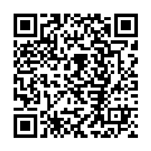 当初秦兄弟可是从火凤族的手中切出了一个真凤之蛋二维码生成