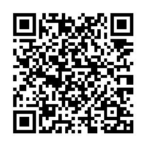 当初貌似确实是他留冰心月滞留在君主阁地界之内二维码生成